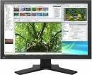 Eizo FlexScan SX2461W (SX2461W-BK)